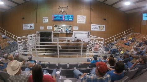 Jordan Cattle Auction Special Stocker & Feeder Sale, San Saba, TX 10-6. . Wheeler and sons livestock auction market report